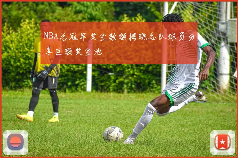 NBA总冠军奖金数额揭晓各队球员分享巨额奖金池