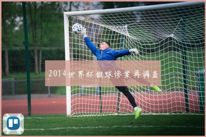 2014世界杯假球惨案再调查