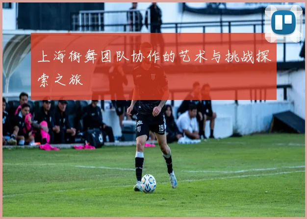 上海街舞团队协作的艺术与挑战探索之旅